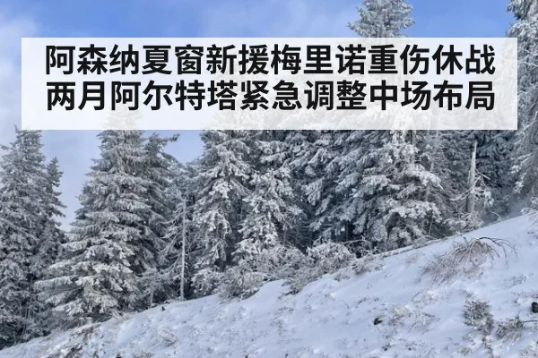 阿森纳夏窗新援梅里诺重伤休战两月阿尔特塔紧急调整中场布局
